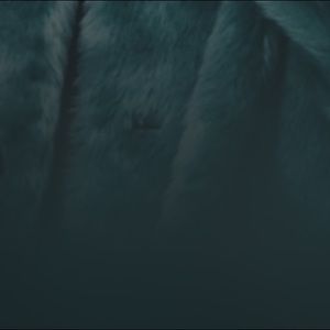 Meet your Posher, Saray